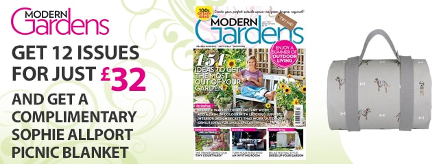 SUBSCRIBE TO MODERN GARDENS TODAY